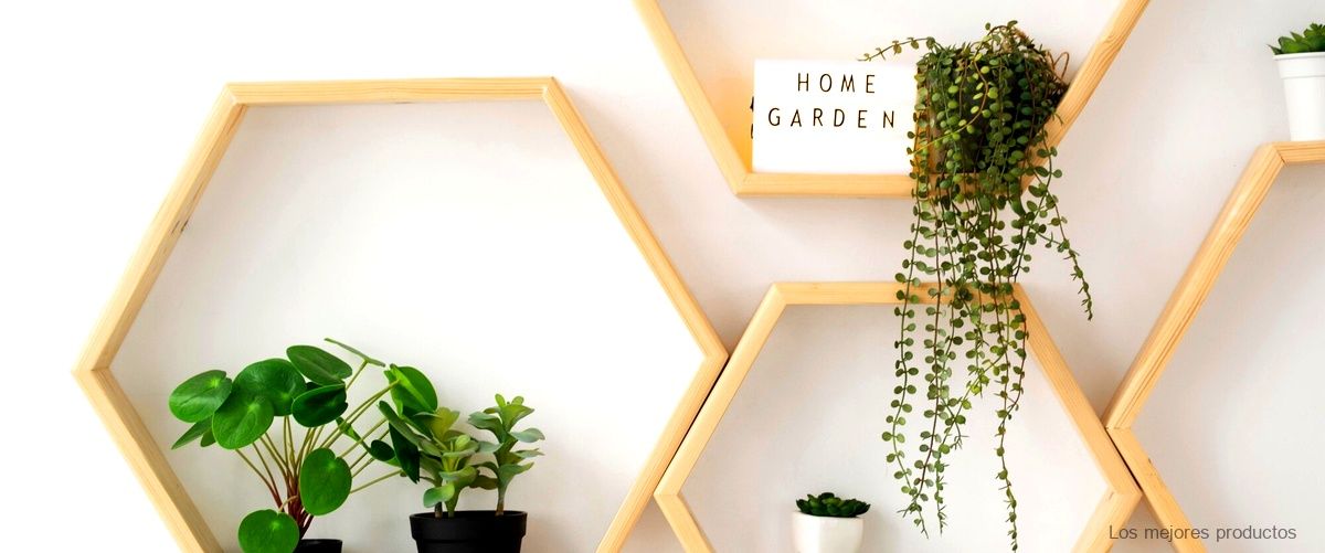 Crea un rincón verde en tu hogar con la estantería para plantas Lidl