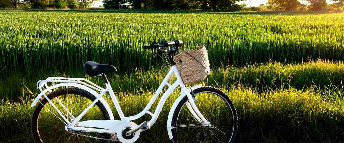 Thule Euroway G2 923 oferta: Transporta tus bicicletas al mejor precio